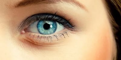 Un Oeil qui Frémit N’annonce pas une Bonne Nouvelle ! Voici ce que Cela Signifie…
