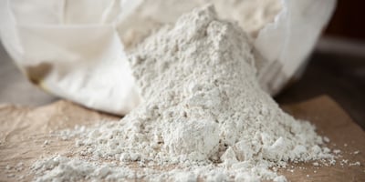 Un Remède Anti Puces Naturel pour vos Animaux Un Remède Anti Puces Naturel pour vos Animaux
