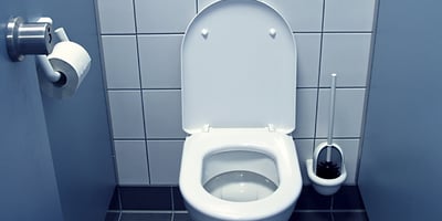 Un Siège de Toilette, Est-ce si Dangereux?