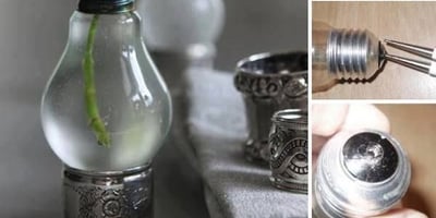 Une Ampoule comme Vase à Fleurs pour Décorer une Table Une Ampoule comme Vase à Fleurs pour Décorer une Table