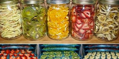 Une Astuce Simple pour Déshydrater les Fruits à la Maison