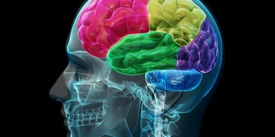 Une Étude Prouve que CECI est L’élément qui Déclenche la Maladie d’Alzheimer… Une Étude Prouve que CECI est L’élément qui Déclenche la Maladie d’Alzheimer…