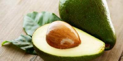 Une Fois que Vous Apprenez CECI, vous ne Jetterez Plus Jamais de Graines D’avocat !