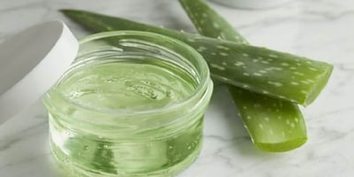Utiliser L’aloe Vera et Faire son Propre Gel Maison