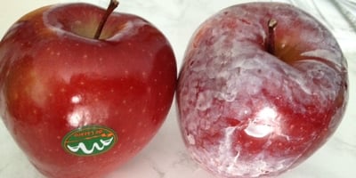 Versez de L’eau Chaude sur vos Pommes et Regardez si Cette Cire Cancérigène Apparaît Versez de L’eau Chaude sur vos Pommes et Regardez si Cette Cire Cancérigène Apparaît
