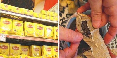 Voici ce que L’on a Retrouvé dans les Thés en Sachets
