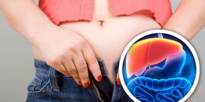 Voici Comment Purifier les Toxines Stockée dans Vos Cellules Graisseuses
