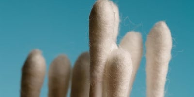 N’utiliserez plus Jamais de Cotons-tiges N’utiliserez plus Jamais de Cotons-tiges