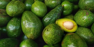 Vous êtes un Amateur D'avocat, Voici ce que vous Devez Absolument Savoir sur Celui-ci!