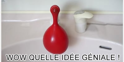Super idée pour Animaux Domestiques pour les Journées Chaudes