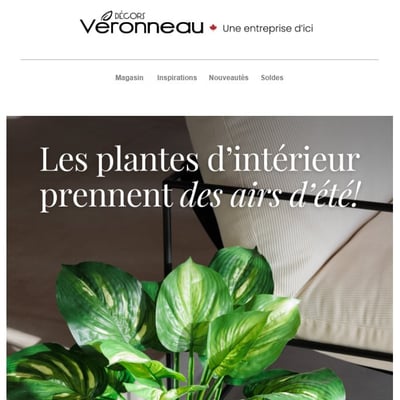 Image de la Promotion Les plantes d’intérieur prennent des airs d’été!