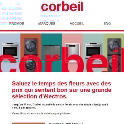 Image de la Promotion Saluez le Temps des Fleurs avec des Prix qui sentent Bon.