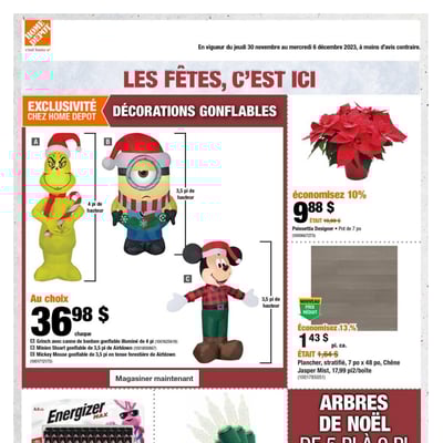 Image de la Promotion Circulaire Home Depot