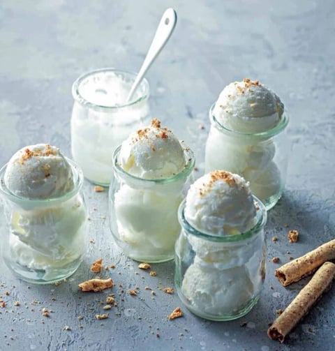 Sorbet Fromage Blanc ou Yaourt