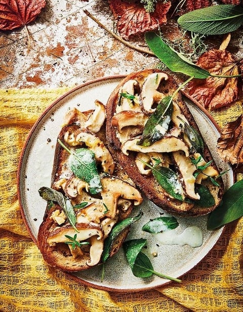 Tartines à l'Ail, Shiitake à la Crème de Mozzarella, Sauge, et Thym