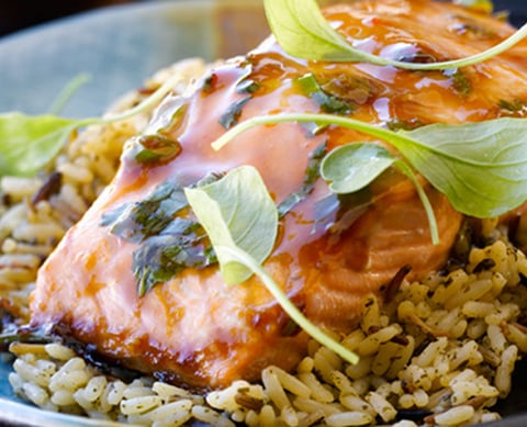 Filets de Saumon Teriyaki