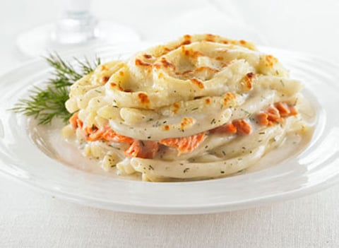 Macaroni au Saumon au Four
