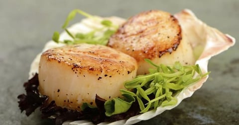 Noix de Saint Jacques Grillées