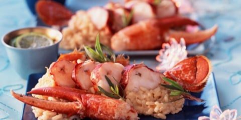 Risotto de Homard