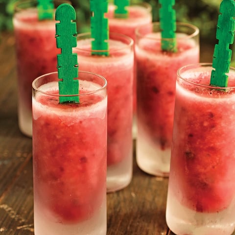 Sucettes Givrées au Mojito de Melon D'eau