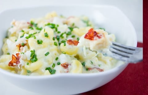 Un Macaroni au Fromage Riche et Crémeux avec Homard!