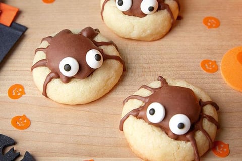 Biscuits-Araignées TURTLES
