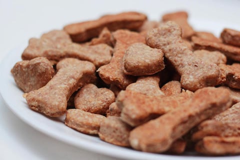 BISCUITS BON CHIEN