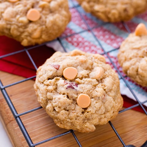 BISCUITS D'AVOINE DE BOURBON AU BEURRE CHOCOLAT