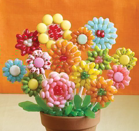 Biscuits Sucettes en Forme de Fleurs Jelly Belly