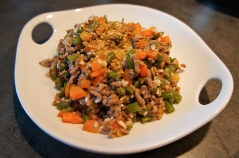 Boeuf Carotte pour Chien