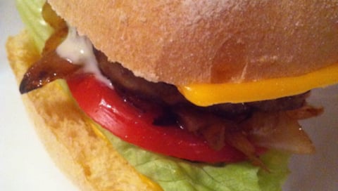 Burger Cheese Sans Gluten