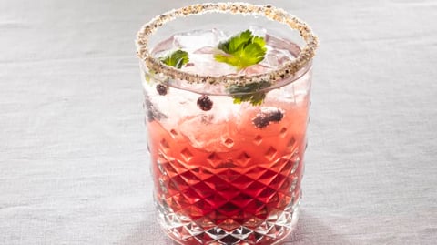 Cocktail « Gin »évrier Québécois
