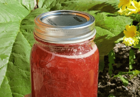 Confiture Fraise & Rhubarbe