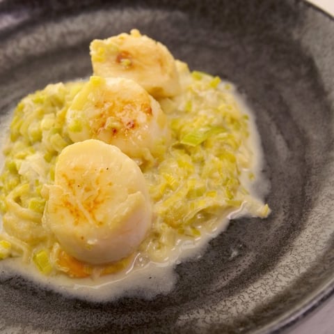 Coquilles St Jacques et leur Fondue de Poireaux