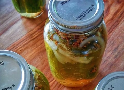 Cornichons (marinades) à l'Aneth