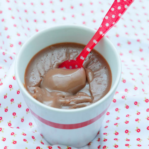 Crème Chocolat Légère Façon « Danette »