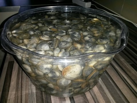 Cuisson des Coques