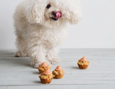 CUPCAKES POUR CHIENS AU POULET, AUX CAROTTES, À LA BANANE & GLAÇAGE AUX ARACHIDES