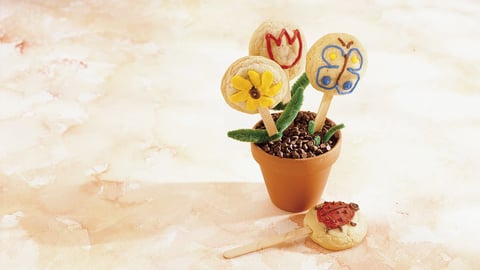 Des Fleurs pour le Professeur