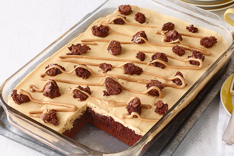 Dessert au Beurre D'arachide et aux Brownies