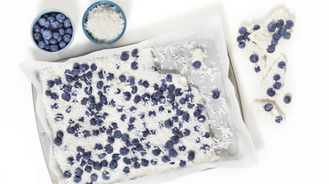 Éclats de Yogourt Glacé aux Bleuets