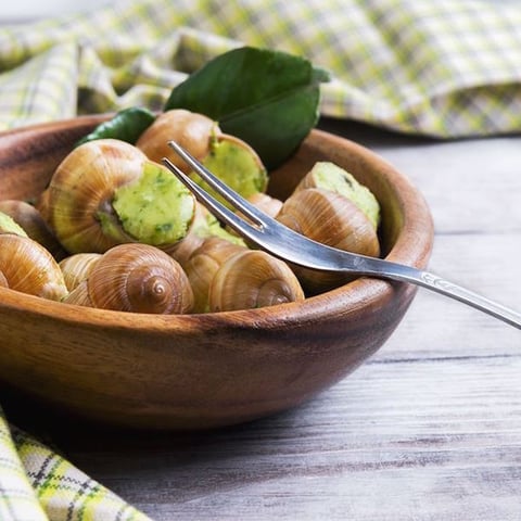 Fricassée D'escargots aux Noix
