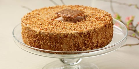 Gâteau Chocolat Praliné