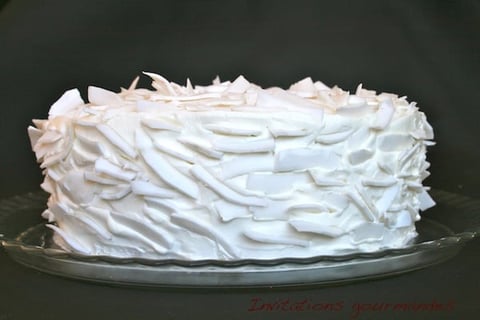 GÂTEAU ICEBERG (CHOCOLAT BLANC-NOIX DE COCO-FRAMBOISES)