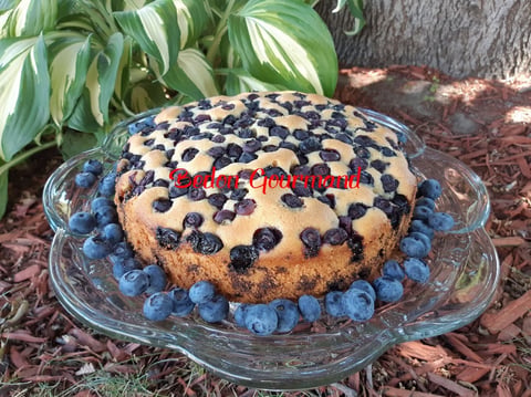 Gâteau Moelleux aux Bleuets