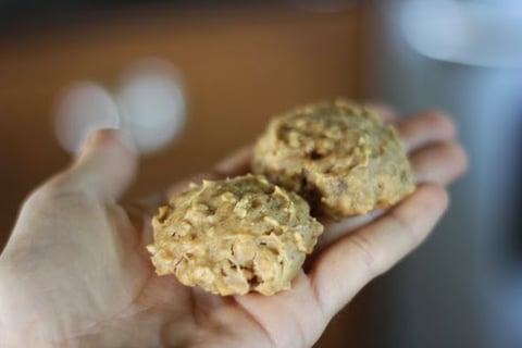 Gâteaux aux Pommes pour Chiens