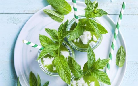Gaspacho de Laitue, Concombre, Pois et Feta