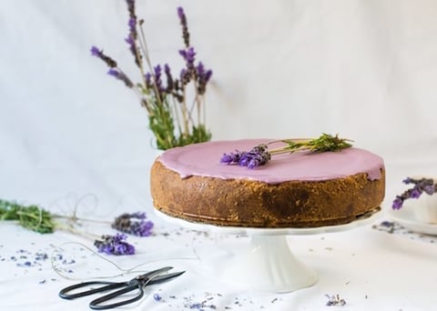 Gâteau au Fromage au Chocolat Blanc et Lavande