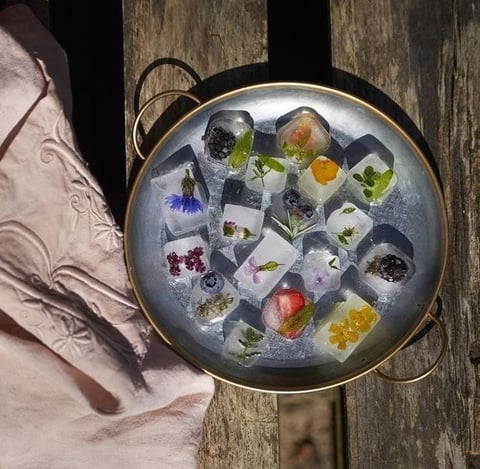 Glaçons Infusés Décoratifs aux Fleurs et aux Fruits