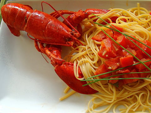 Homard Dégustant ses Spaghetti aux Dés de Tomates